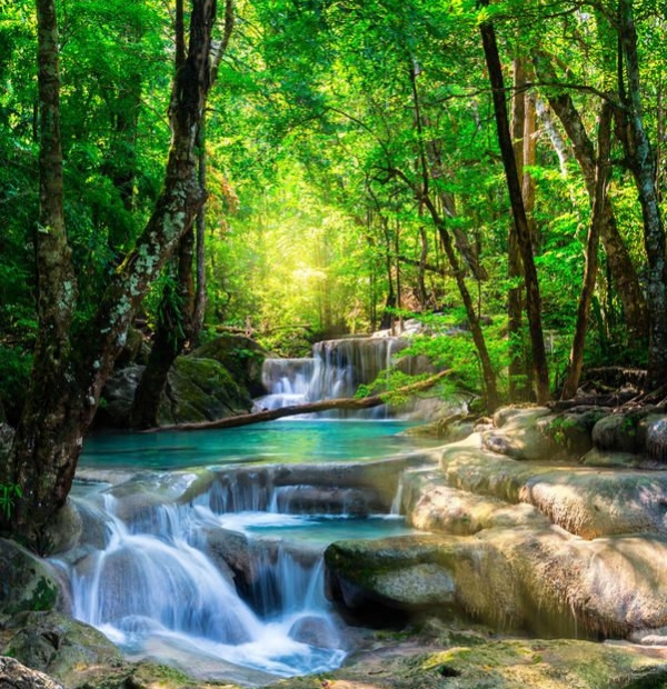 A painting of a waterfall in the woods